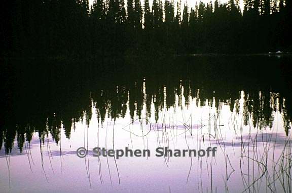 lake reflection graphic